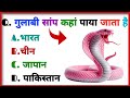 Question And Answers In Hindi ll Like ll Share ll Subscribe ll Quiz Fact Short II Mind Test II 🔥💯 Gk