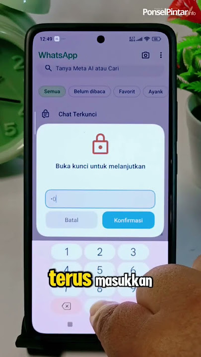 Ayank gak bisa lihat chat kamu di WA lagi #tipswhatsapp #tipswa #trikwa #trikwhatsapp