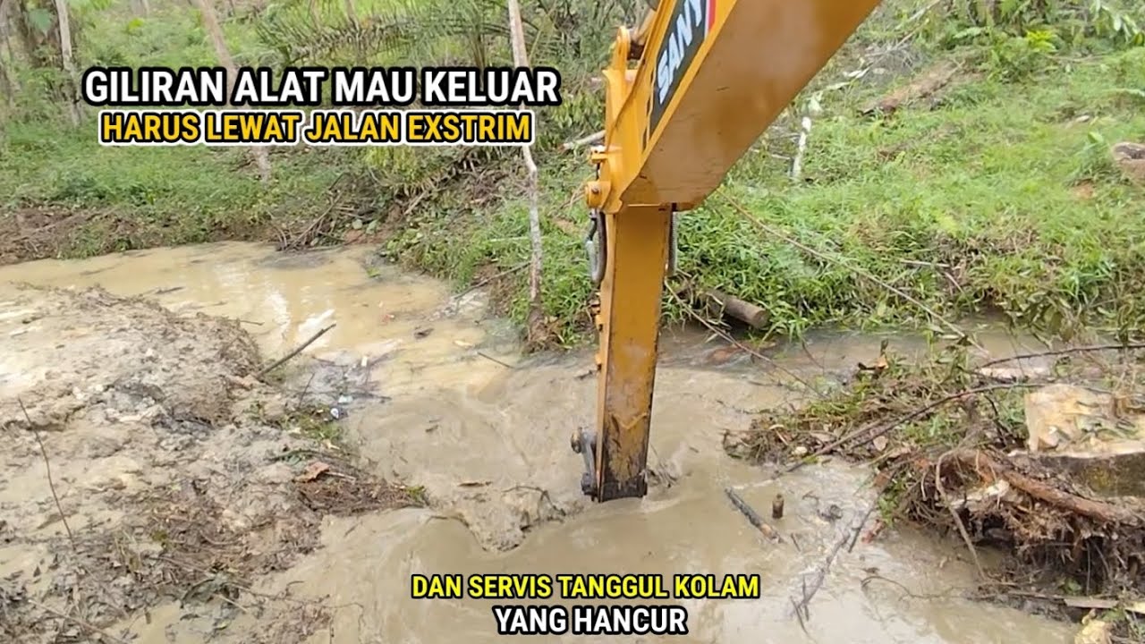 Karena di lewati excavator tanggul kolam jadi hancur dan harus di perbaiki dengan tanah cucian parit