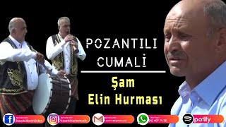 POZANTILI CUMALİ - Şam elin hurması Resimi