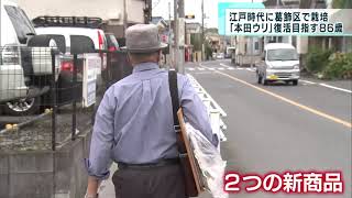 江戸時代の野菜「本田ウリ」復活を目指して！　86歳男性が奮闘