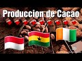 Principales países productores de CACAO en el mundo🍫🍫🍫