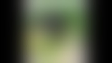 Kênh VTV3 Giải pháp giúp ngăn ngừa rụng tóc, hói đầu từ thảo dược thiên nhiên