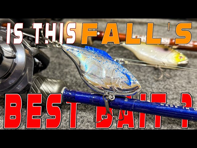 best bass fishing reels 2019 Best Bass Fishing Spinning Reels: Top 3 Reviews for 2026  KastKing