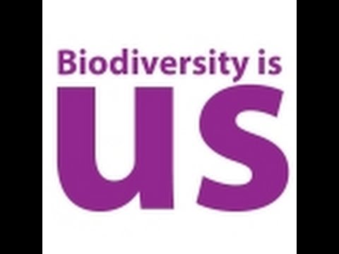Video: Súčasná úroveň Biodiverzity Sa Príliš Nelíši Od úrovne Zaznamenanej V Posledných 60 ML. - Alternatívny Pohľad