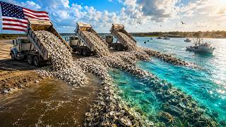 America Dumped 500,000 Tons of Oyster Shells Into a Dying Bay. What Happened Shocked the World