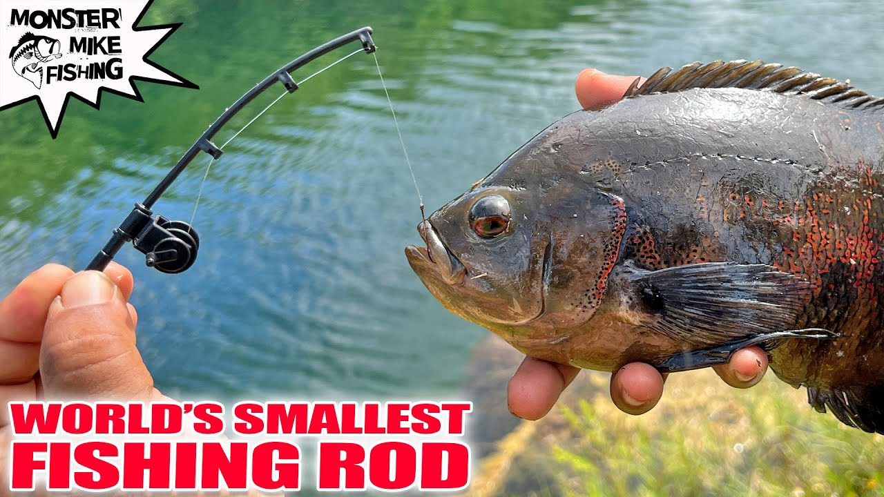 The WORLD'S SMALLEST FISHING ROD Catches Fish! Tiger Oscar 