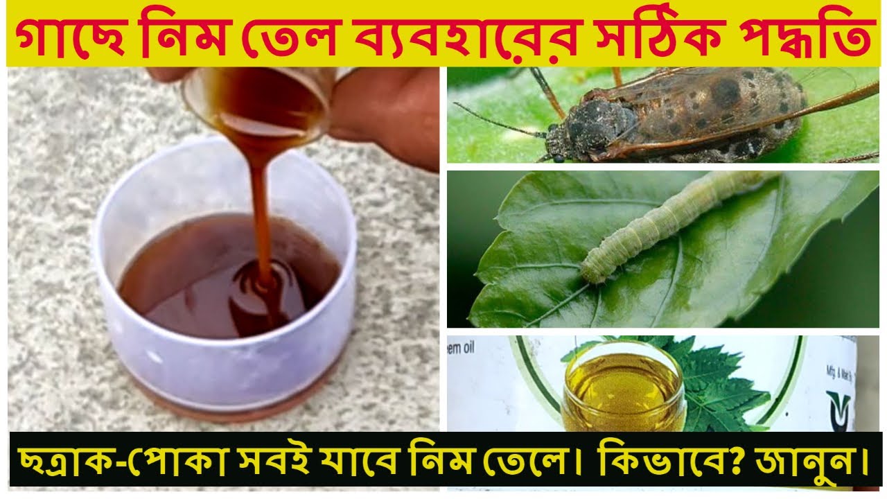 video জৈব বালাইনাশক নিম তেল-250ml.