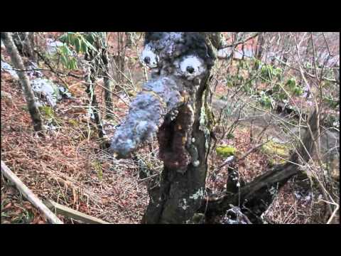 The Land Of Oz - ABANDONED 1970s Mountain Top  Theme Park