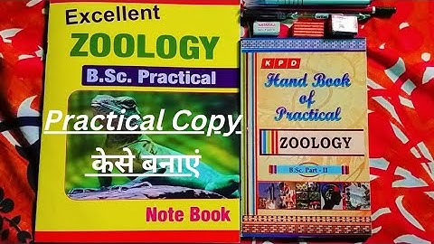B.Sc Practical Copy (Part-2) Ka Kase Banaye | Zoology (Hon)  प्रैक्टिकल कॉपी कैसे बनाएं | #exam
