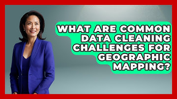 What Are Common Data Cleaning Challenges For Geographic Mapping? - The Student Atlas
