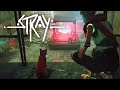 Stray | #9 | Ночной клуб и тюрьма