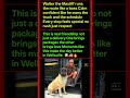 This Dog Owns the Delivery Route 🚚