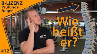 Wie nennt man den zweiten Halswirbel? | B-Lizenz Prüfungsfragen #12