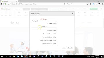 ZOHO Website - Change Home Page Title