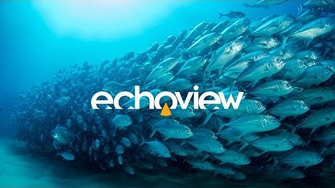 What is Echoview?