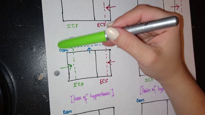 Body Fluid Compartments Made Easy