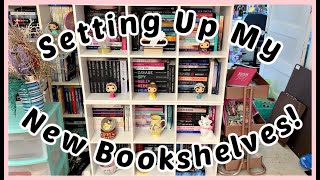 Setting Up My New Bookshelf!
