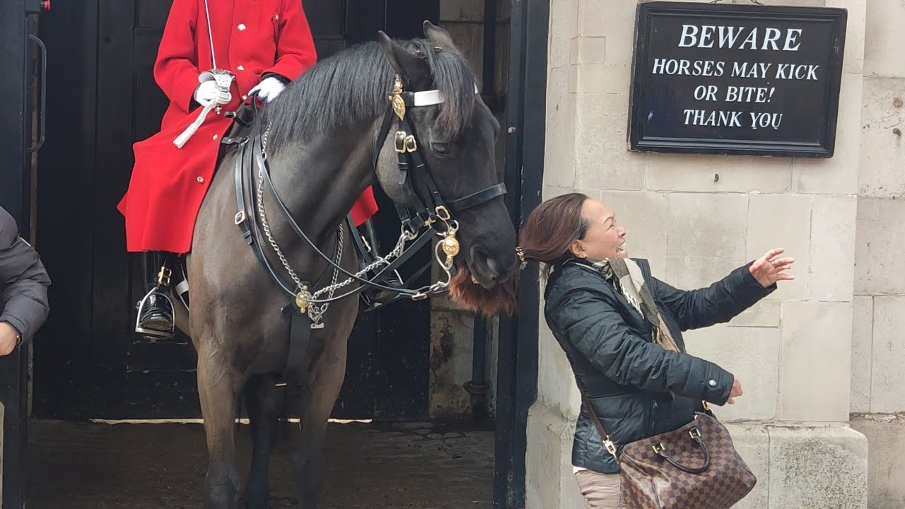 Horse Grabbed Her By The Ponytail YouTube