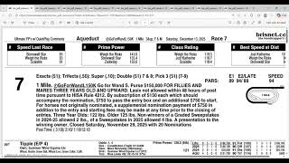 2025 Go for Wand Stakes Full Field Analysis and Picks | Aqueduct