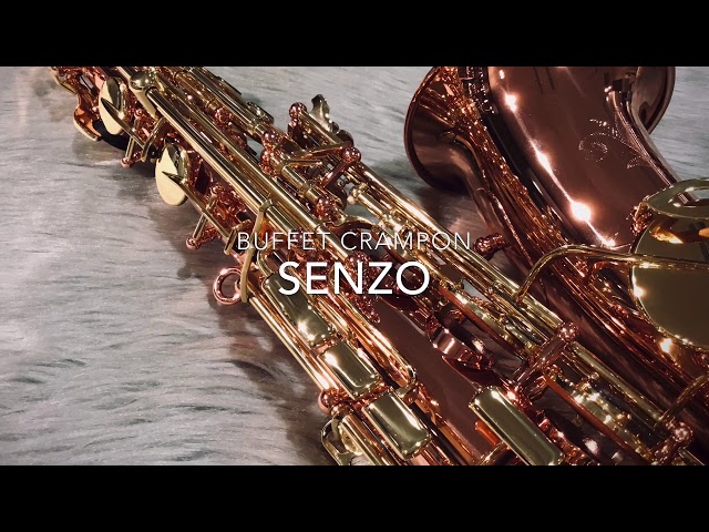 senzo アルトサックス 長期在庫につき特別価格】ビュッフェ・クランポン アルトサックス