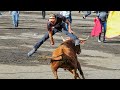 Toros populares cayambe 2022 primera corrida de toros