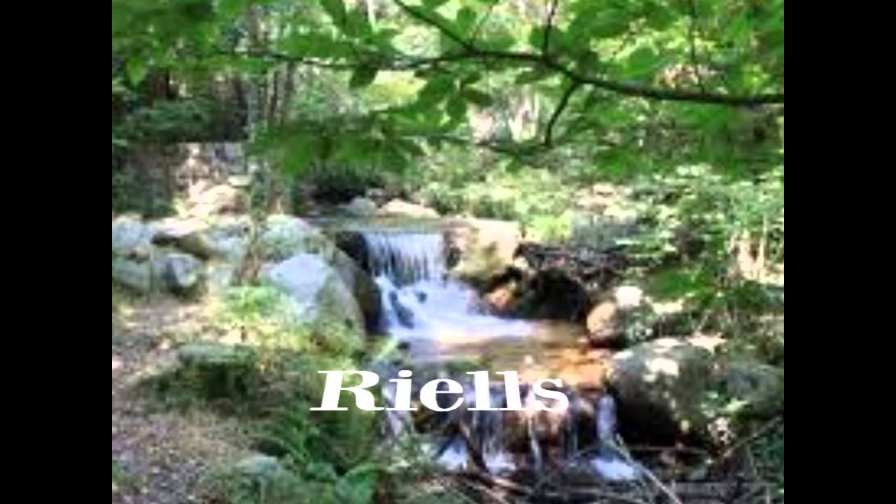 La Comarca de la Selva