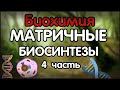 Биохимия. Лекция 38. Матричные биосинтезы. ДНК-технологии.