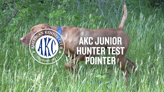 AKC Junior Hunter Test for Pointing Breeds | Intro to Dog Sports