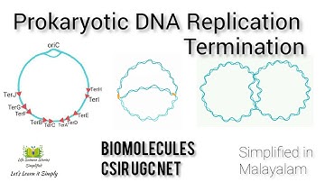 DNA Replication in Prokaryotes 3 | Termination | CSIR UGC NET Life Science | simplified in Malayalam