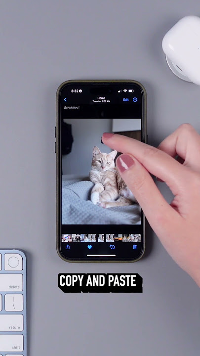 iPhone Trick: Quickly REMOVE THE BACKGROUND of your photos!