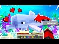 TAMEAMOS UN DELFIN EN MINECRAFT CON KIRON!