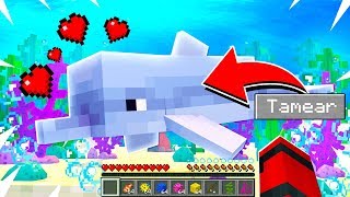 TAMEAMOS UN DELFIN EN MINECRAFT CON KIRON!