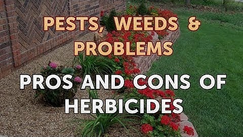 Pros and Cons of Herbicides