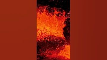 Extreme Microbes🦠