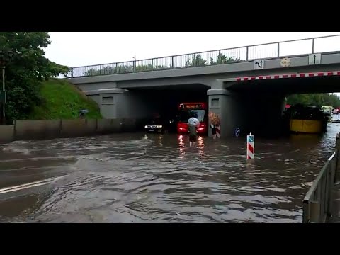 Video: Mis On üleujutus