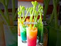 The Magic of Colorful Celery