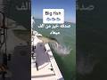 صدفه غير متوقعه Foryou Fishingvideos Shortvideo Fishing صيد Shorts Fishingnews 