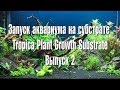 Запуск аквариума на субстрате Tropica Plant Growth Substrate   Выпуск 2