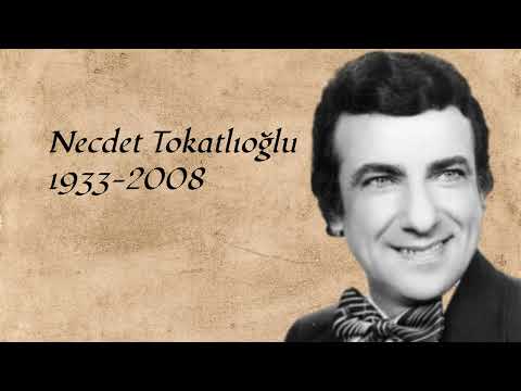 Bir Sevgi İstiyorum — Necdet Tokatlıoğlu — 20th Century Turkish Music