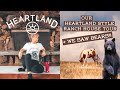 OUR HEARTLAND style RANCH house tour | Sharing our home on Canadas largest Ranch | Amber Marshall