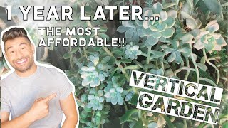 1 YEAR LATER The Most Affordable Vertical Garden   Ikea Hack