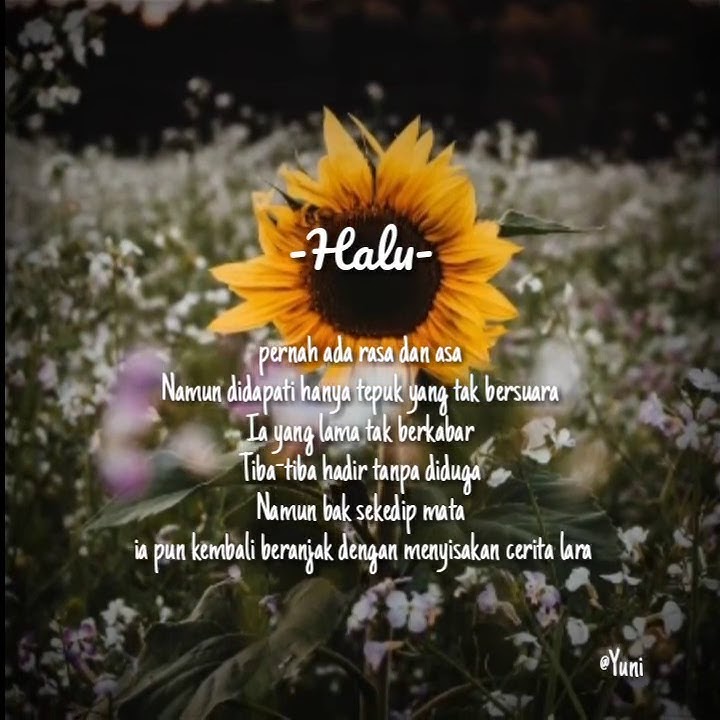 Story WA || Halusinasi