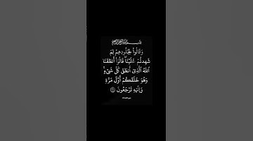 #سورة_فصلت القارئ #سعود_الشريم