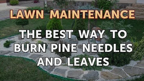 Can you burn pine needles in fire pit?