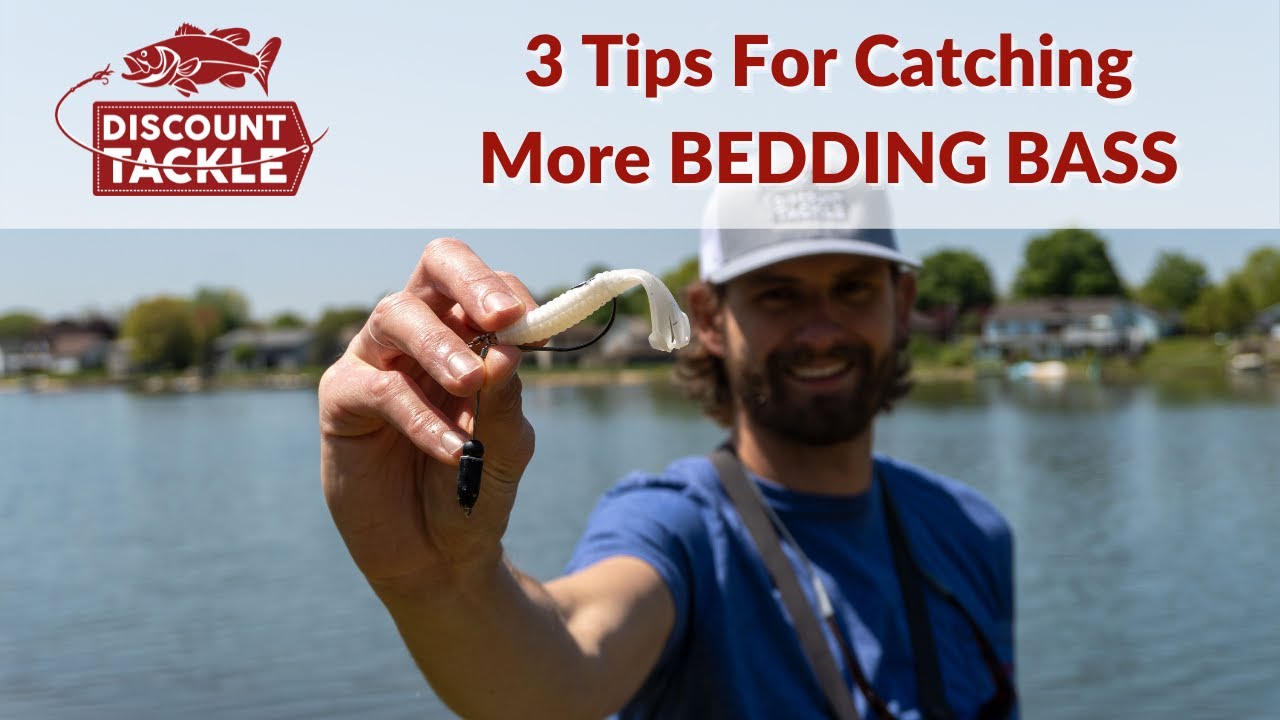 3 Tips For Catching More BEDDING BASS YouTube