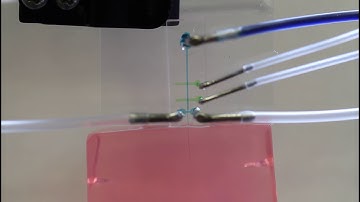 Rice scientists use microfluidics to insert nanowires into brain tissue