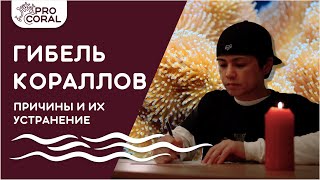 видео: ПОЧЕМУ ГИБНУТ КОРАЛЛЫ? Как устранить основные причины некроз ткани у акропоры картинка: ПОЧЕМУ ГИБНУТ КОРАЛЛЫ? Как устранить основные причины некроз ткани у акропоры