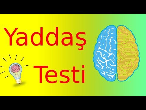 Qısa Yaddaşınızı Test Edin - Yaddaşınız Nə Qədər Yaxşıdır? - Zeka Oyunları 2023