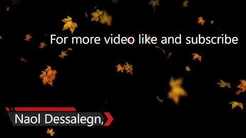 Kutaa 1 ffaa,  Naol Dessalegn Auto CAD 2007: For Beginners: Tutorial